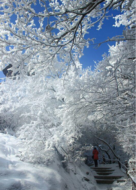 最美雪景在崆峒!一下雪崆峒山就美成了仙境!